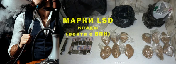ПСИЛОЦИБИНОВЫЕ ГРИБЫ Осташков