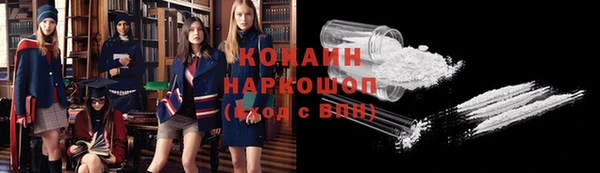 стафф Осинники