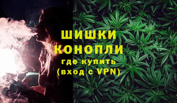 стафф Осинники