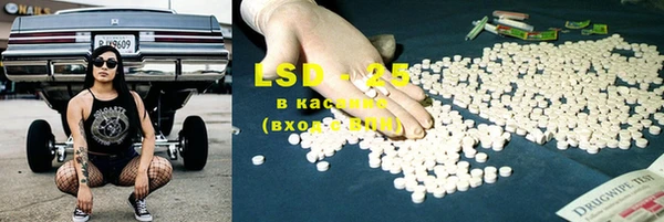 ПСИЛОЦИБИНОВЫЕ ГРИБЫ Осташков
