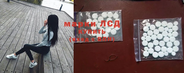 ПСИЛОЦИБИНОВЫЕ ГРИБЫ Осташков